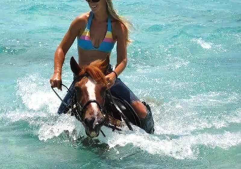 هتل Villa Renaissance