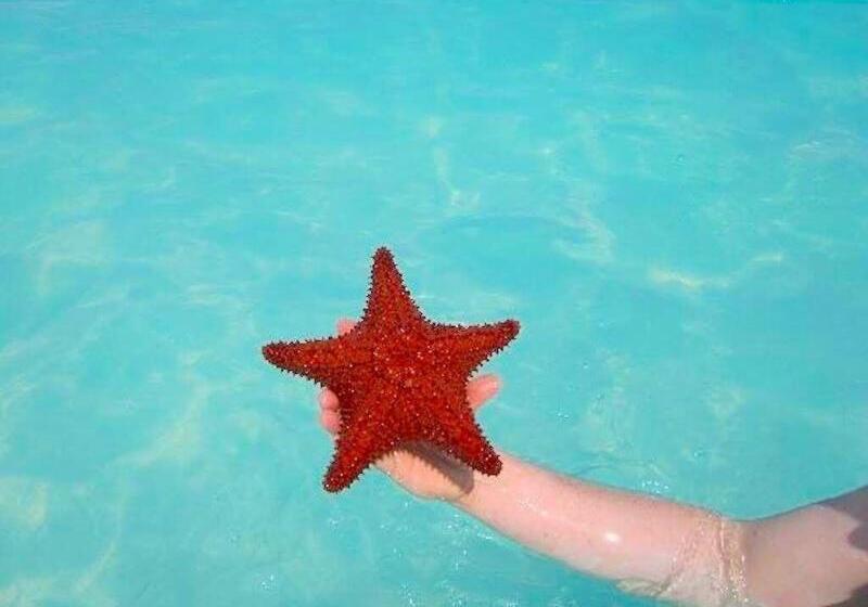 هتل Villa Renaissance