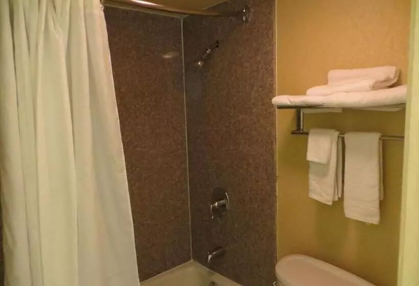 فندق Welcome Inn