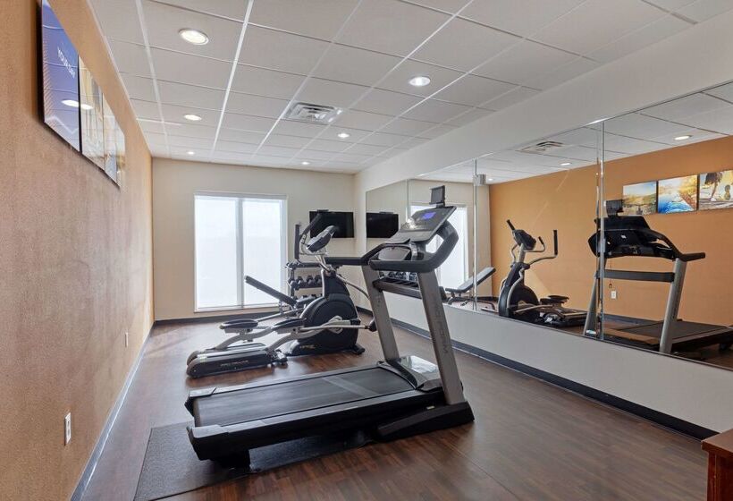 בית מלון כפרי Comfort Suites West Dallas  Cockrell Hill