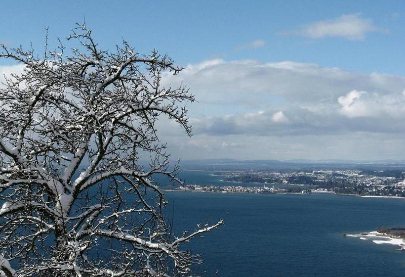 Hotel Gasthof Inselgraben Garni