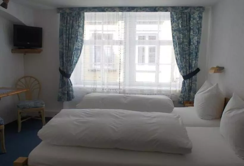 ホテル Gasthof Inselgraben Garni