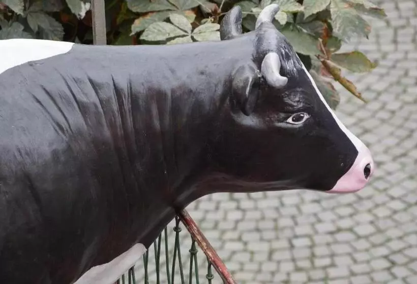 ホテル Gasthof Inselgraben Garni