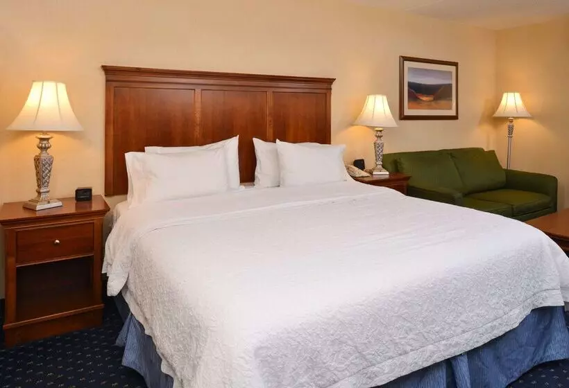 ホテル Hampton Inn & Suites Fredericksburg South