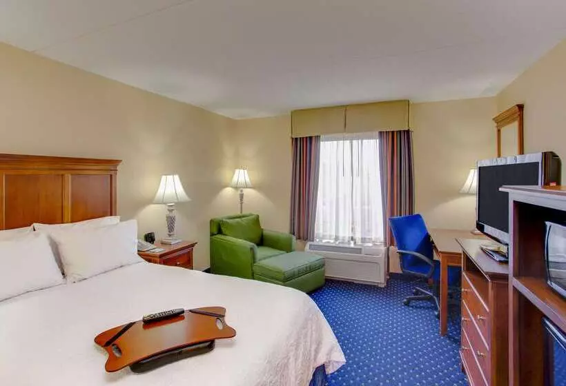 ホテル Hampton Inn & Suites Fredericksburg South