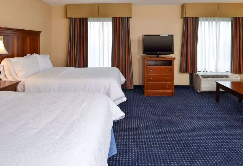 ホテル Hampton Inn & Suites Fredericksburg South