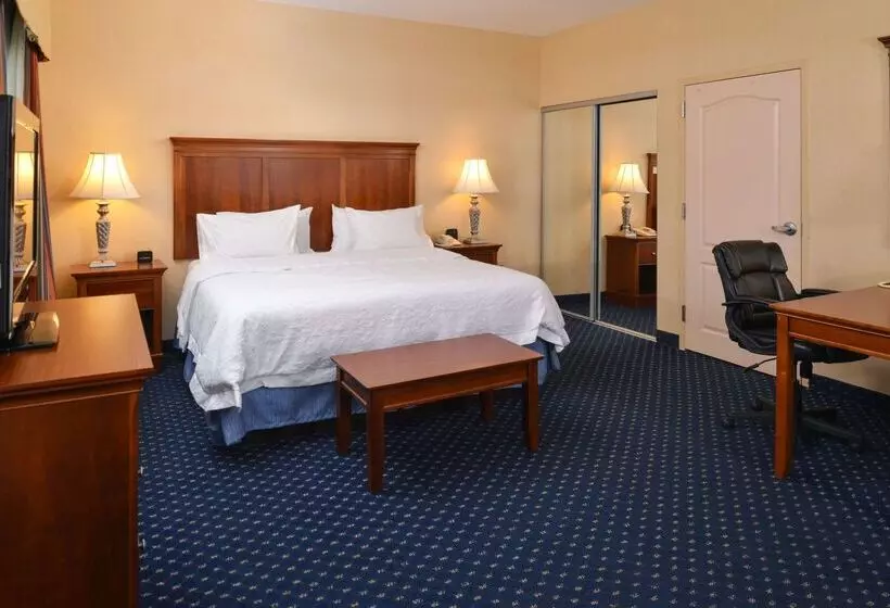 ホテル Hampton Inn & Suites Fredericksburg South