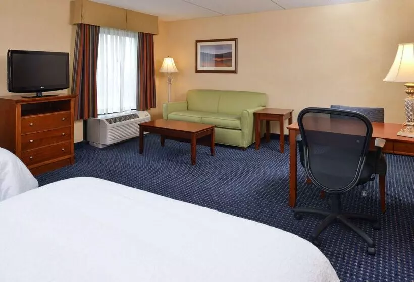 ホテル Hampton Inn & Suites Fredericksburg South