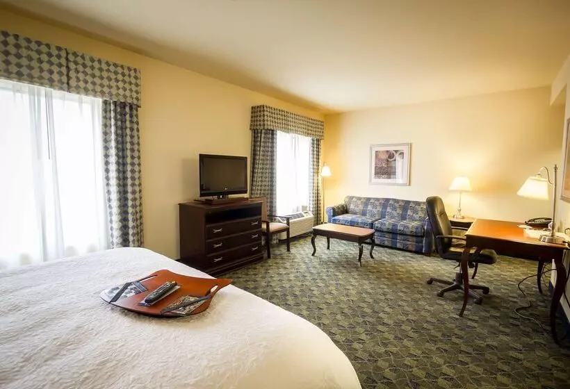 هتل Hampton Inn & Suites Natchez