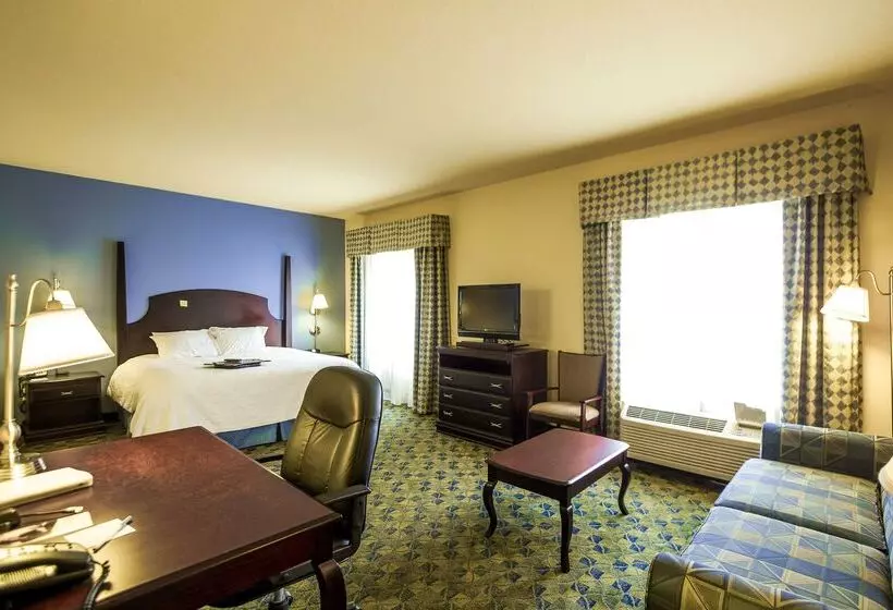 هتل Hampton Inn & Suites Natchez