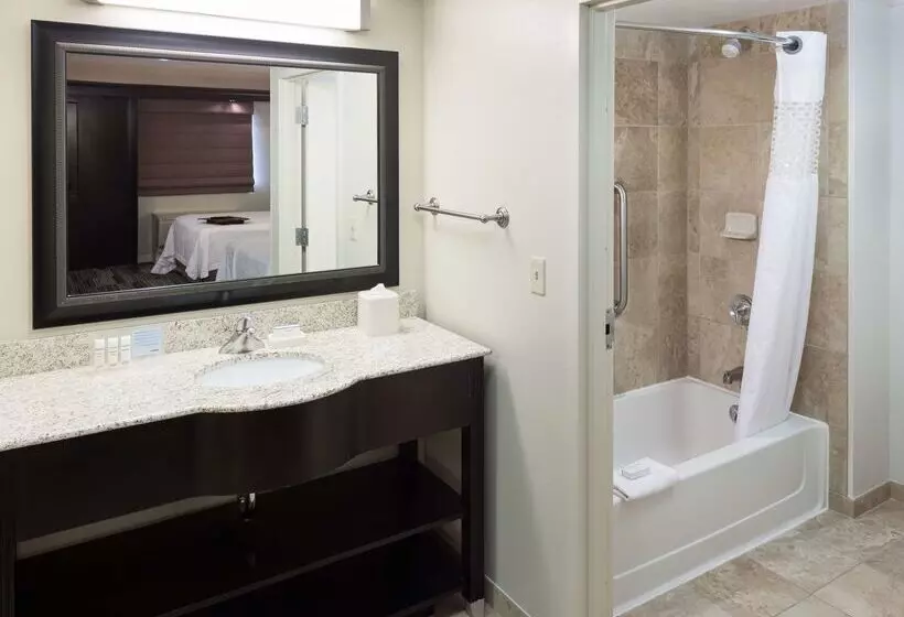 Отель Hampton Inn & Suites Omaha Downtown