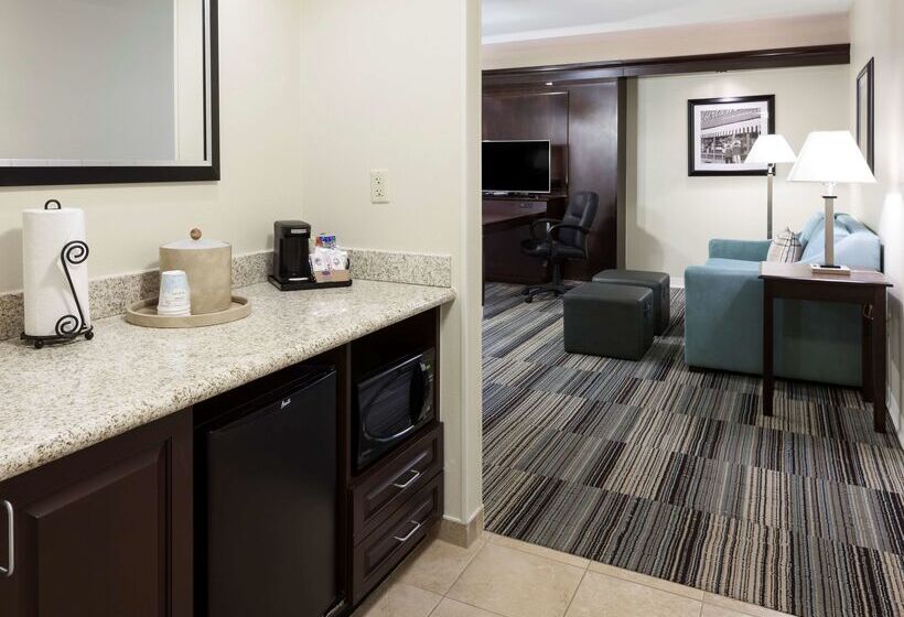 فندق Hampton Inn & Suites Omaha Downtown