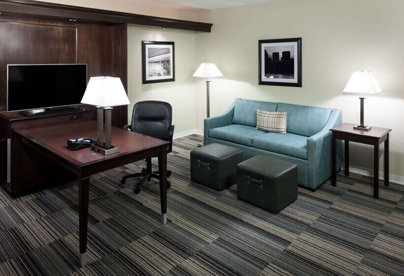 فندق Hampton Inn & Suites Omaha Downtown
