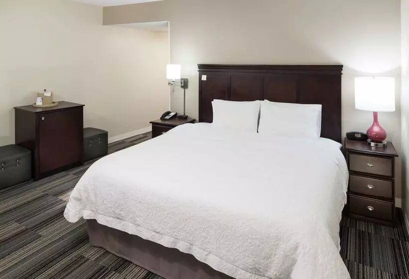 Отель Hampton Inn & Suites Omaha Downtown