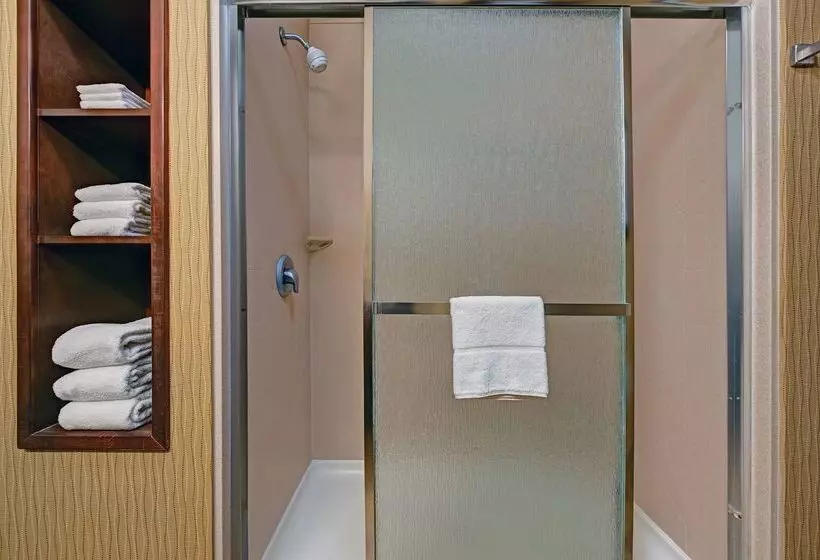 호텔 Hampton Inn Deming