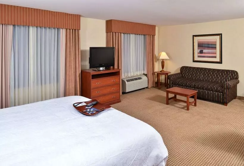 هتل Hampton Inn Rock Springs