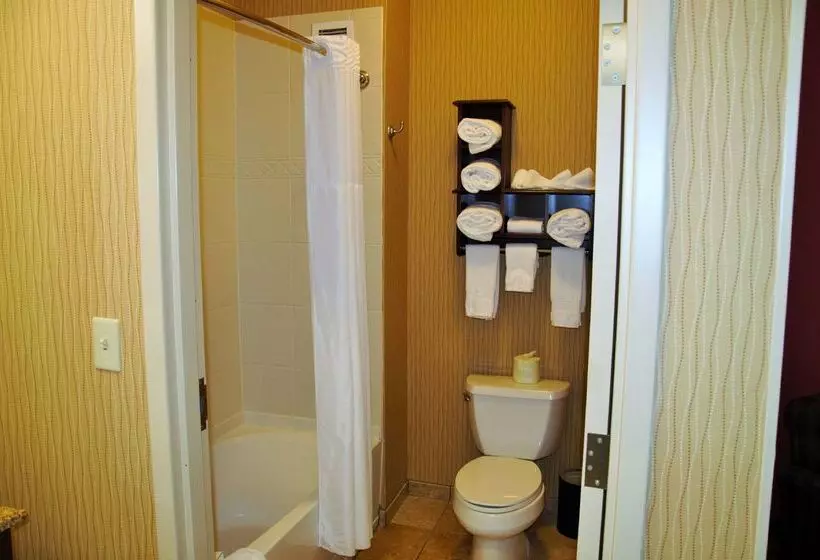 Hotel Hampton Inn & Suites Cincinnati/uptownuniversity Area