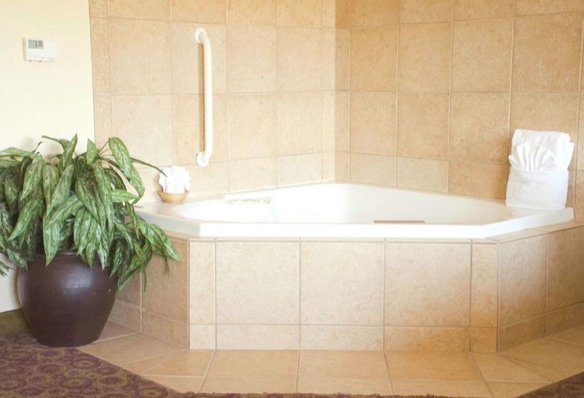 ホテル Hampton Inn And Suites College Station