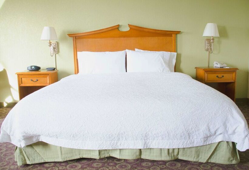 ホテル Hampton Inn And Suites College Station