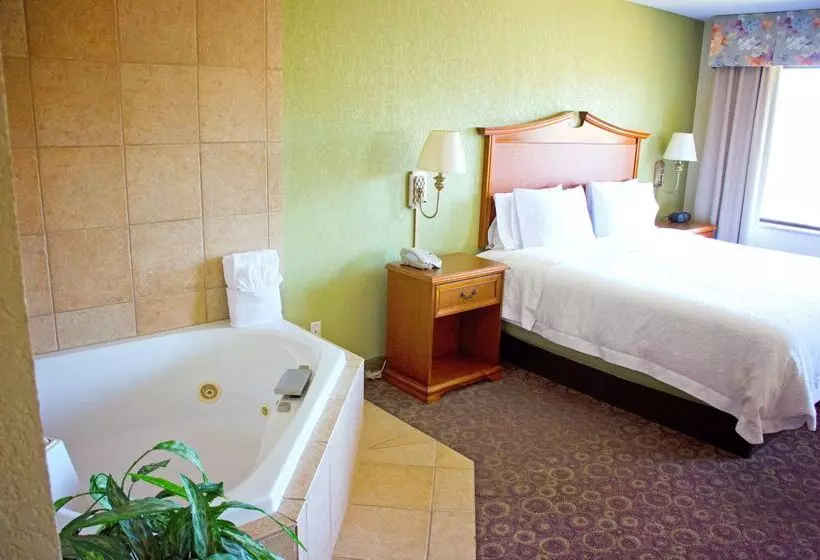 호텔 Hampton Inn And Suites College Station
