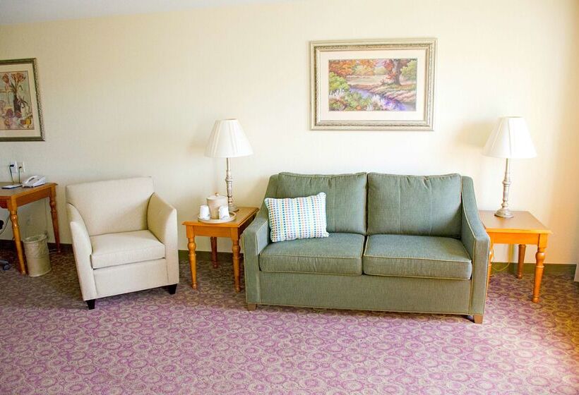 ホテル Hampton Inn And Suites College Station