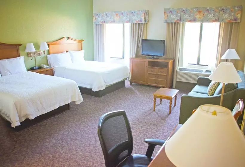 호텔 Hampton Inn And Suites College Station