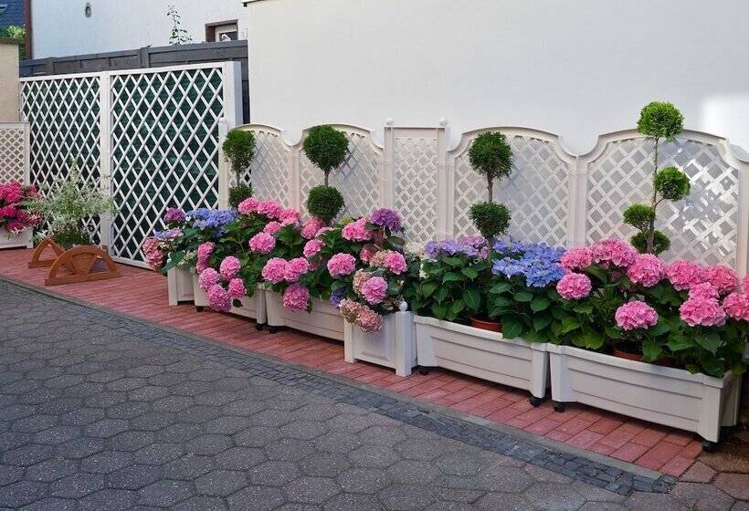 Haus Mooren, Hotel Garni