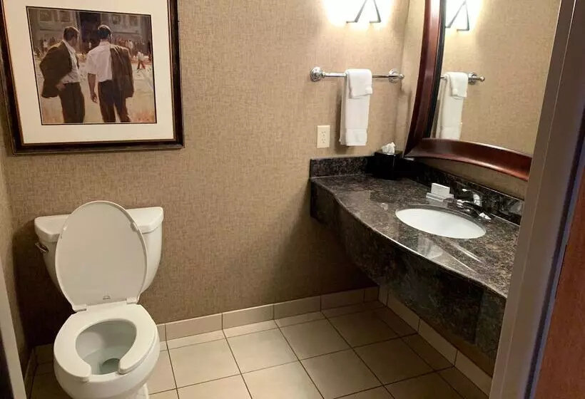 בית מלון כפרי Hilton Garden Inn Columbus/edinburgh