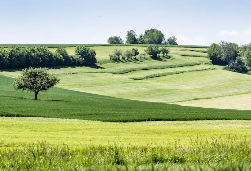 בית מלון כפרי Kloster Hornbach