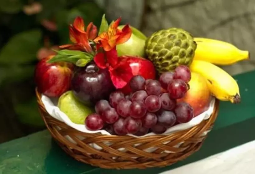 Hôtel Pousada Do Ouro