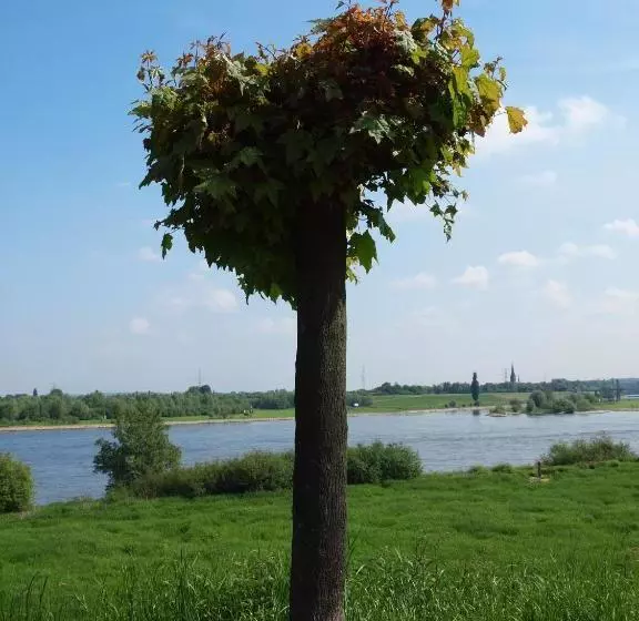 酒店 Restaurant Orsoyer Hof