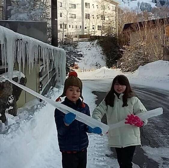 فندق Shiga Palace