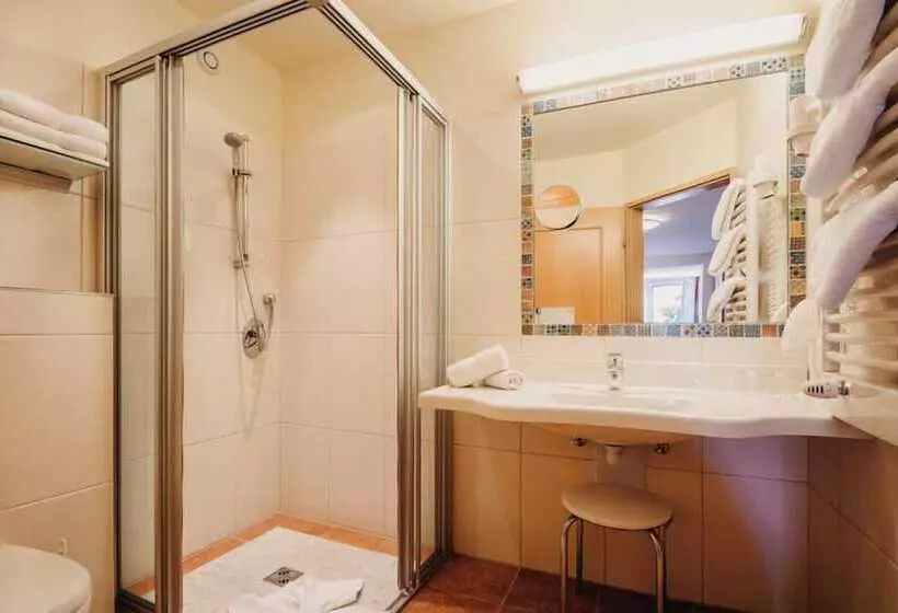 酒店 Alpina Wagrain