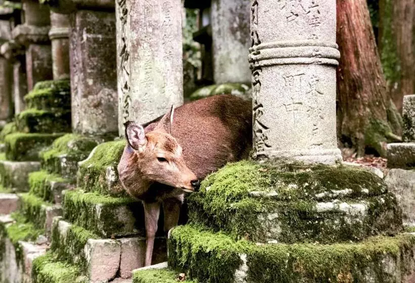 호텔 Ryokan Asukasou At The Entrancne Of Nara Park