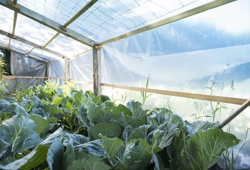 Vilavella Hotel & Spa