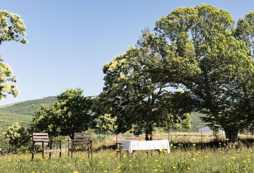 Vilavella Hotel & Spa