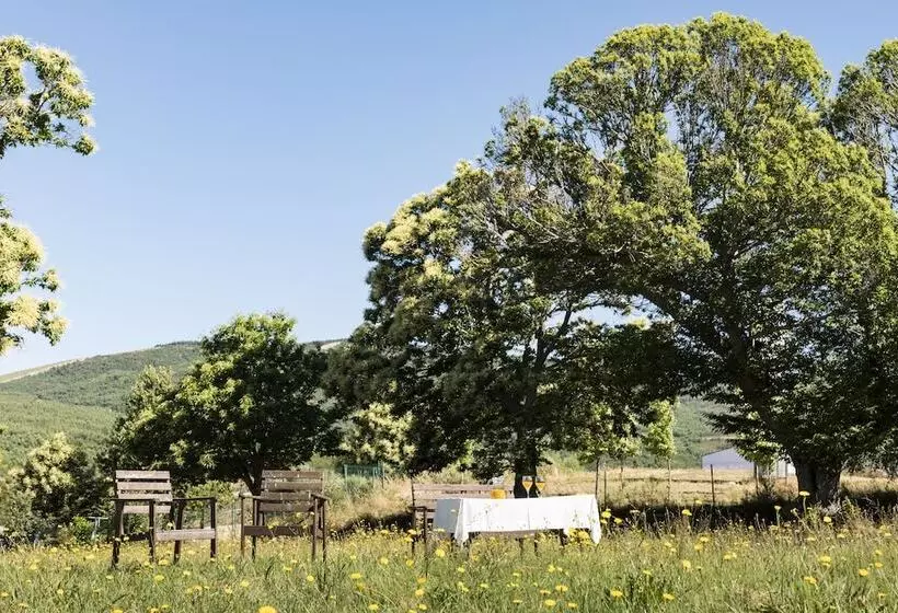 Vilavella Hotel & Spa