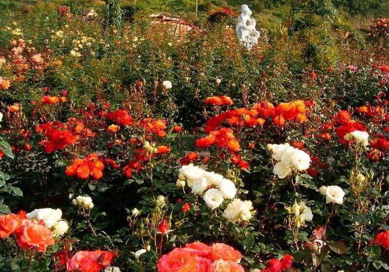 Pestana Quinta Do Arco Nature & Rose Garden