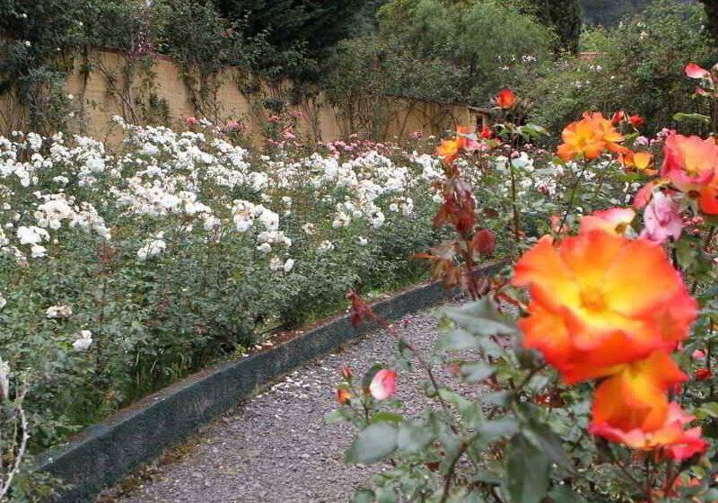 Pestana Quinta Do Arco Nature & Rose Garden