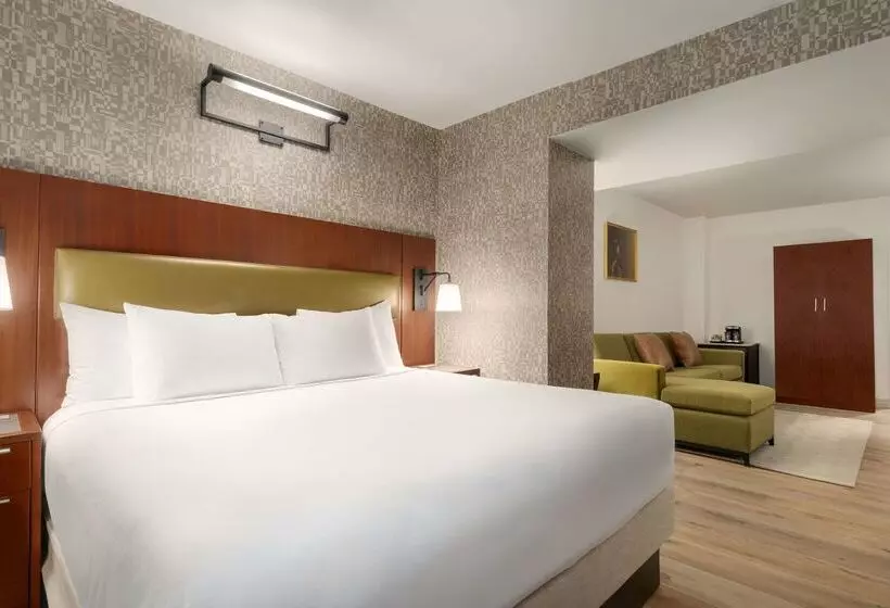 酒店 Doubletree By Hilton New York Downtown