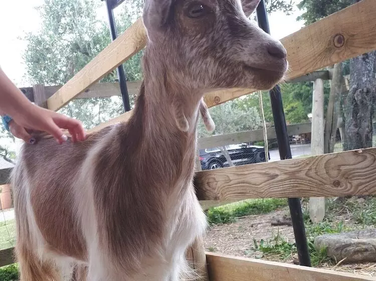 هتل Garden Village San Marino