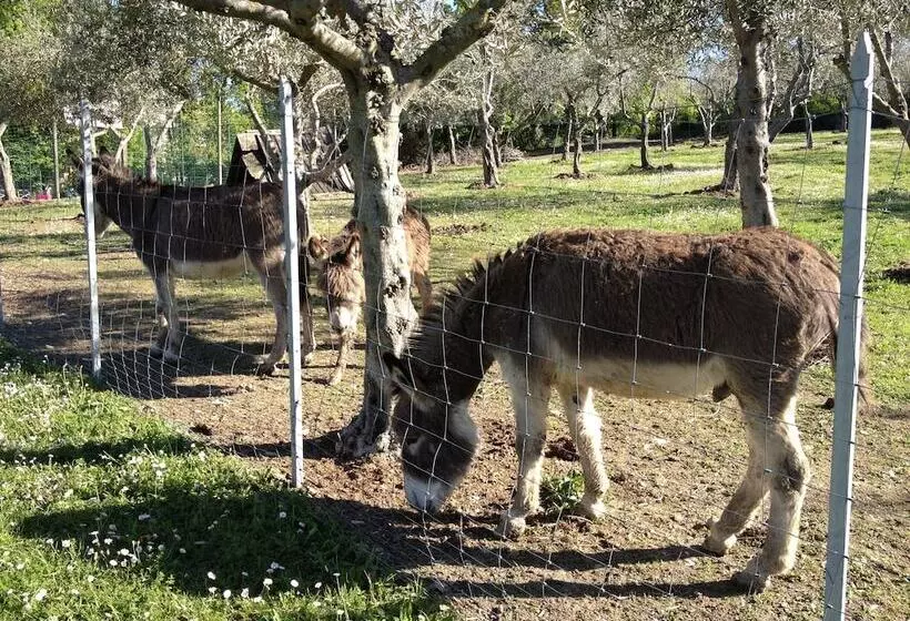 هتل Garden Village San Marino