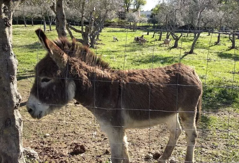 هتل Garden Village San Marino