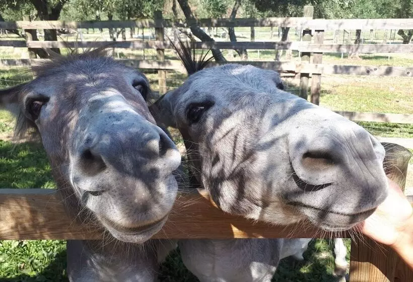 هتل Garden Village San Marino