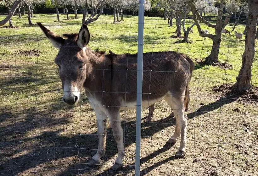 هتل Garden Village San Marino