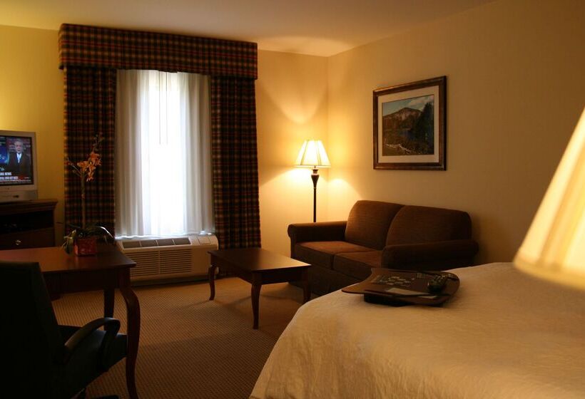 호텔 Hampton Inn And Suites Dobson