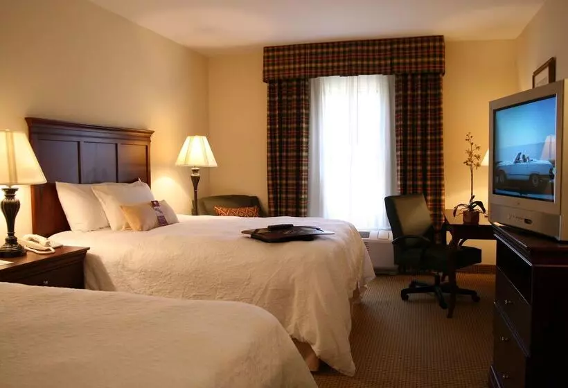 ホテル Hampton Inn And Suites Dobson