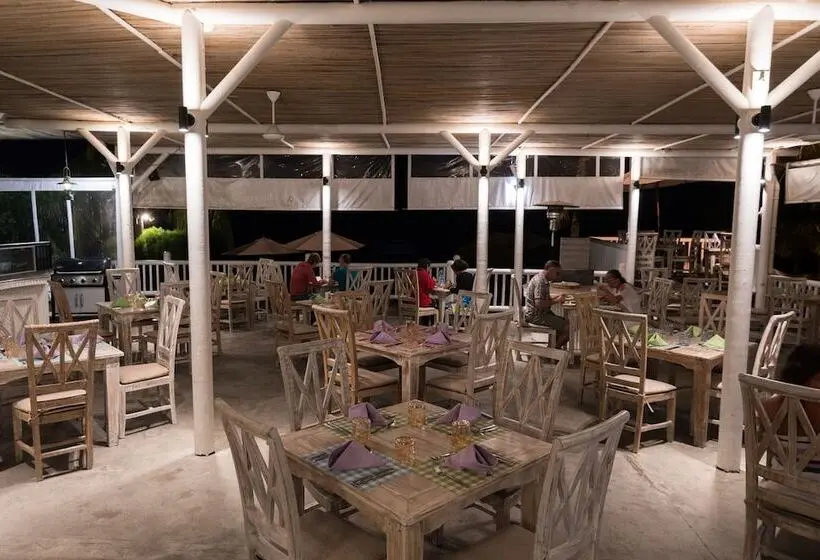 هتل Hibiscus Boutique