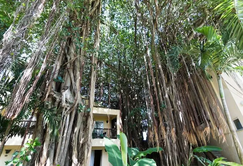 هتل Hibiscus Boutique