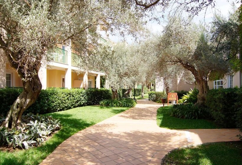 Zafiro Cala Mesquida